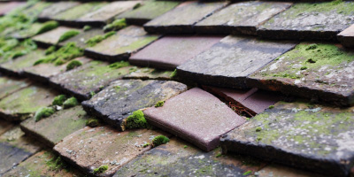 Cotgrave roof repair costs